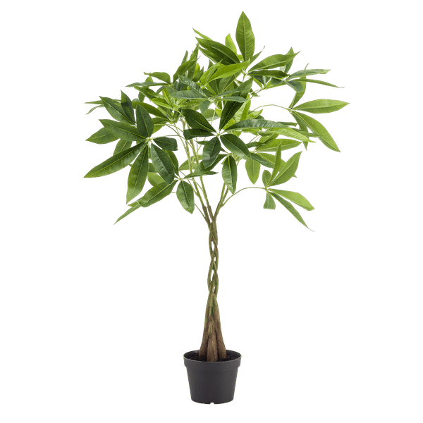 Livraison plante Pachira aquatica artificiel