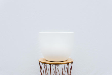 Livraison plante Pot Eggy Blanc 65 cm