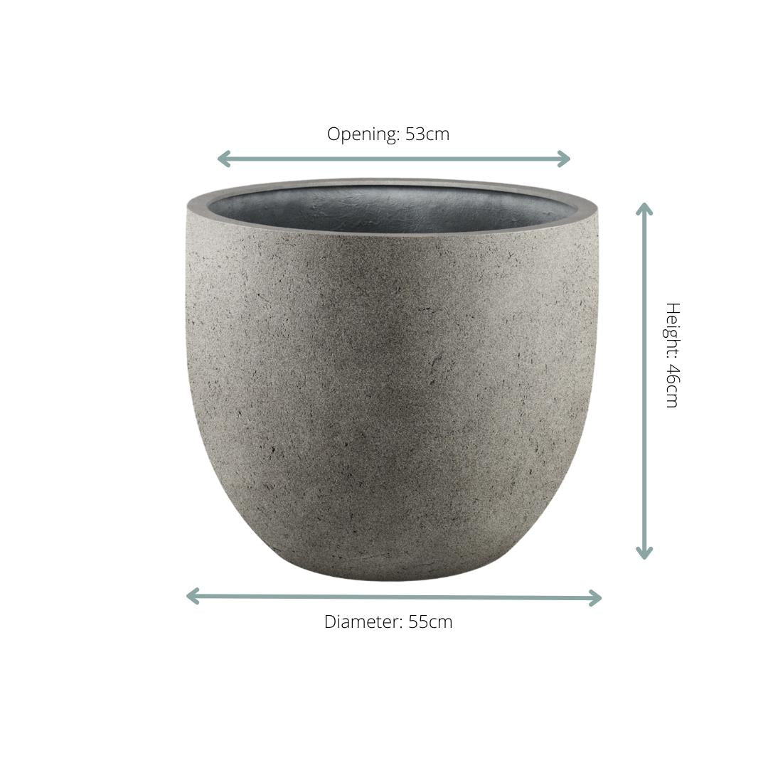 Livraison plante Pot Gris New Egg 55 cm