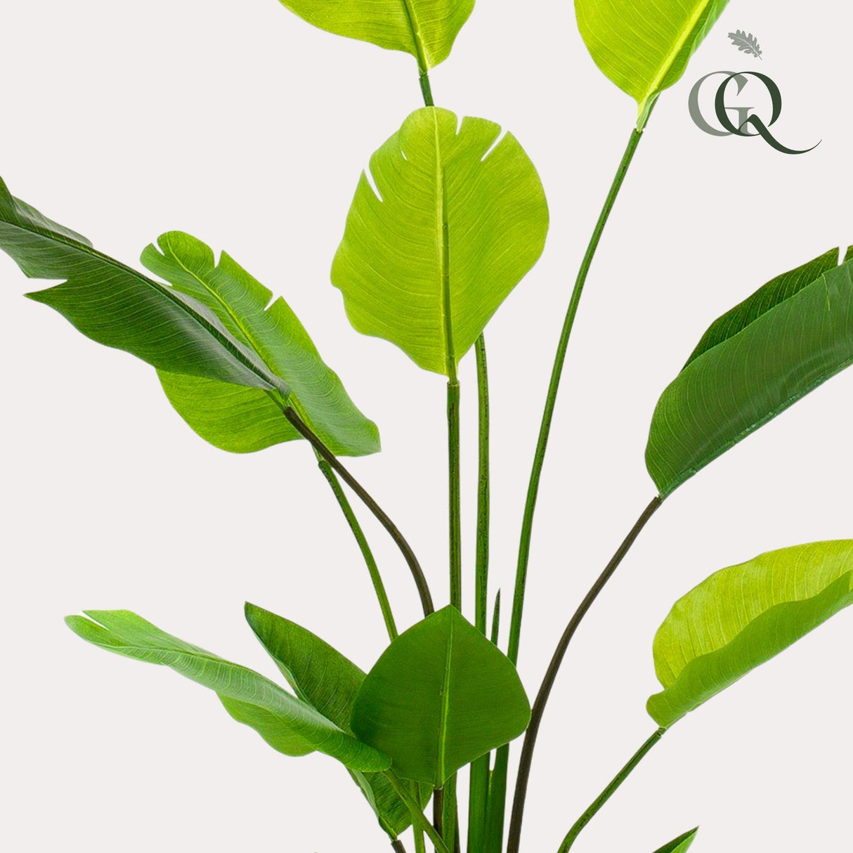 Livraison plante Strelitzia Nicolai plante artificielle - h150cm, Ø12cm