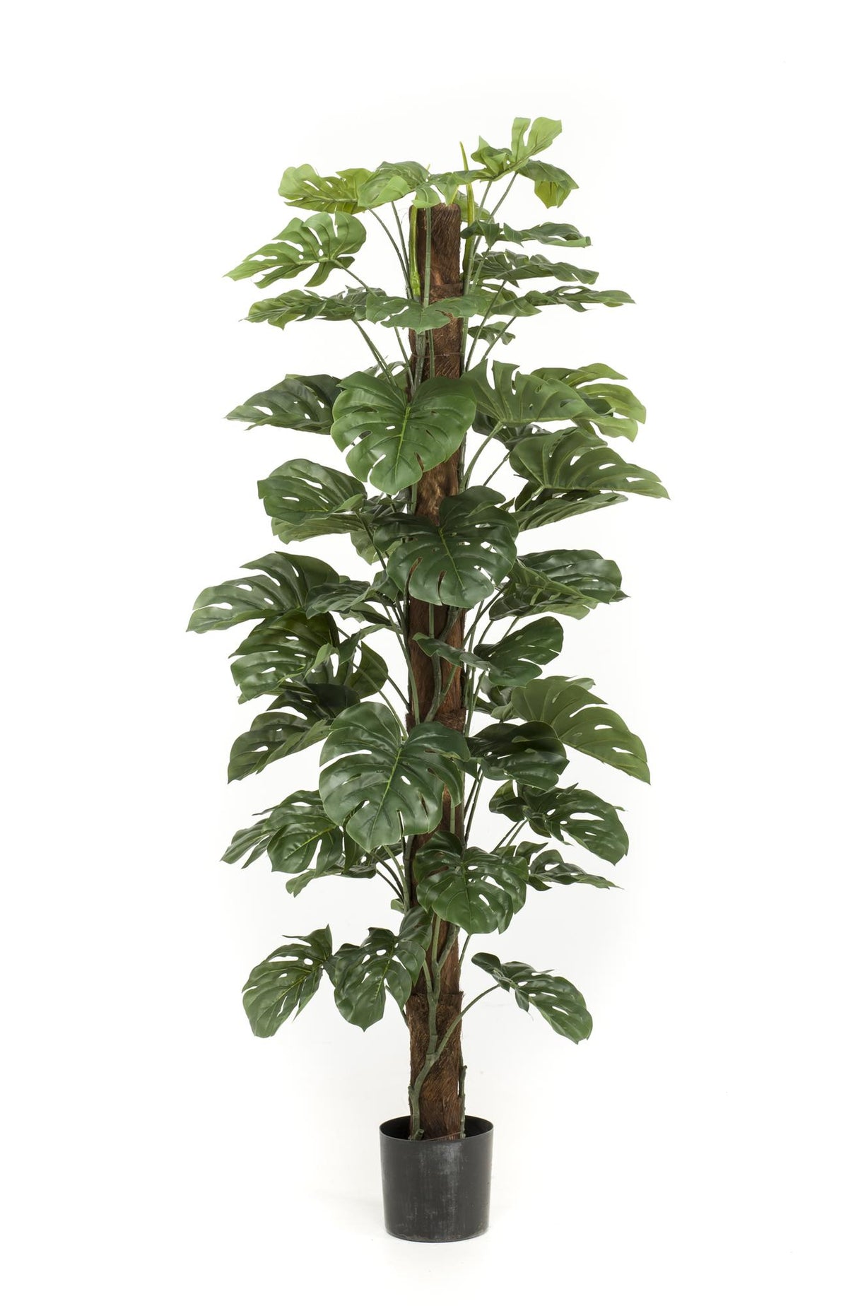 Monstera Deliciosa plante artificielle