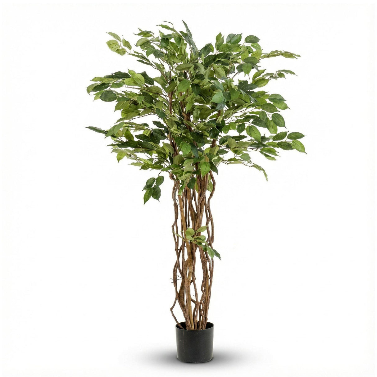 Ficus Liane Arbuste plante artificielle