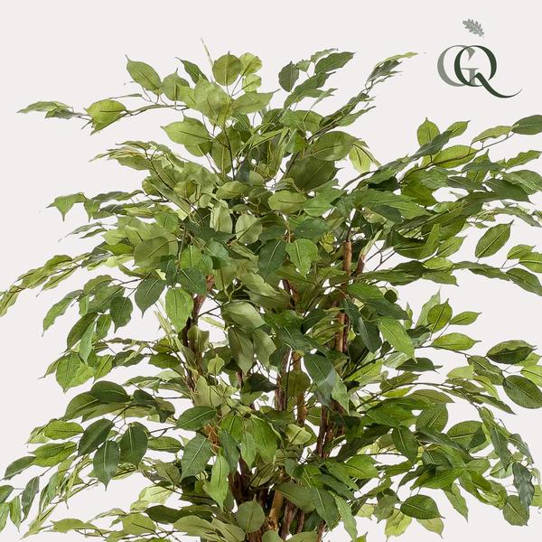 Planta de arte - Ficus liana - Vioolbladplant - 170cm