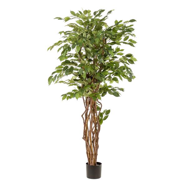 Planta de arte - Ficus liana - Vioolbladplant - 170cm