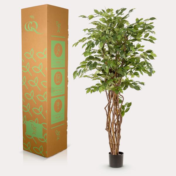 Planta de arte - Ficus liana - Vioolbladplant - 170cm
