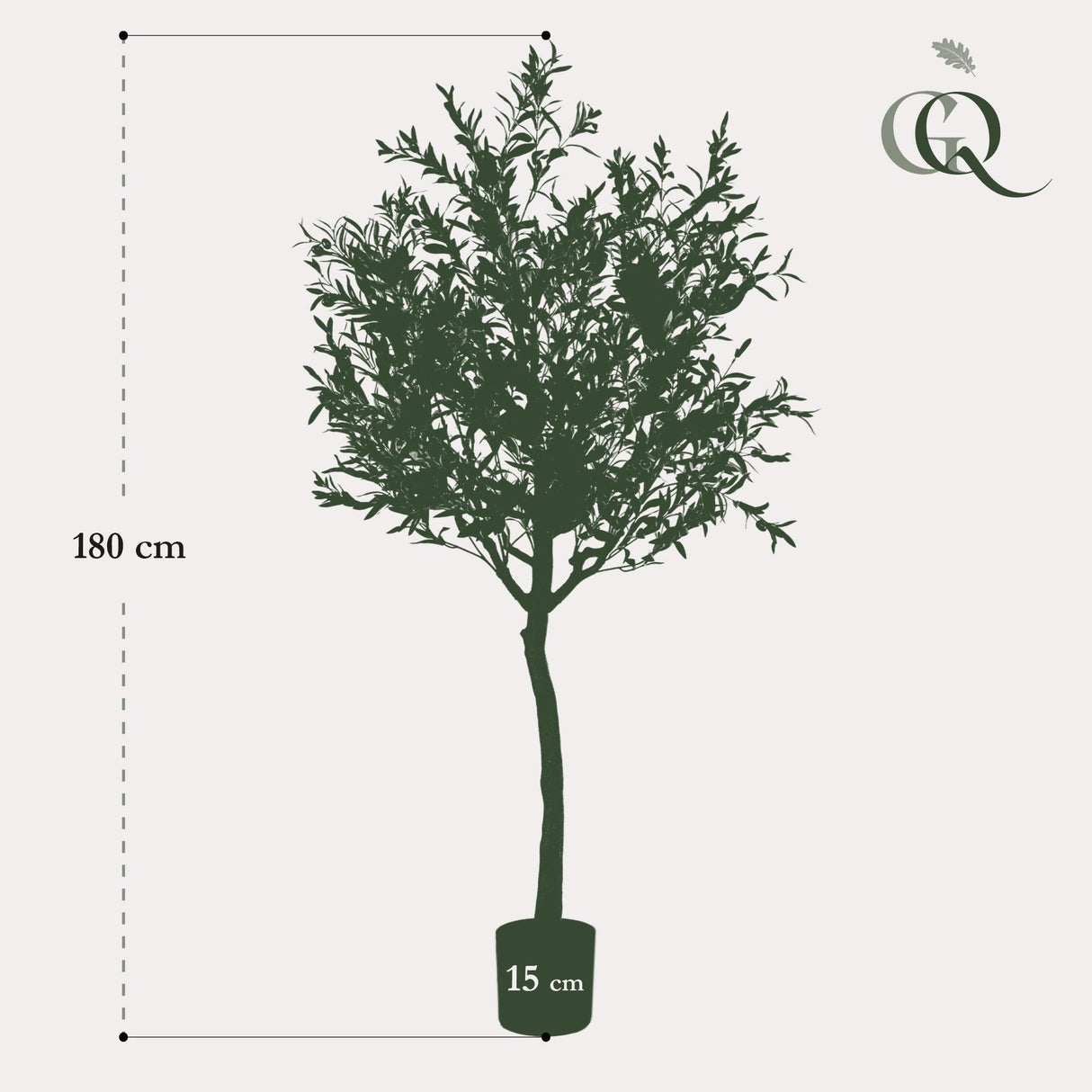 Arte Olijfboom - Olea europaea - Olijfboom - 180 cm