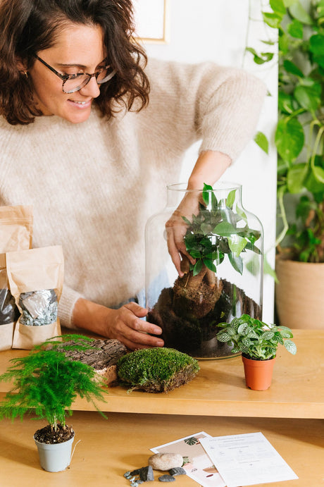 Les terrariums : un cadeau végétal intemporel et durable - La Green Touch