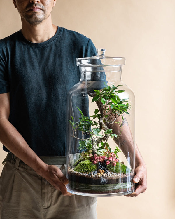 Nos 4 conseils pour prendre soin de votre terrarium pendant l'été. - La Green Touch