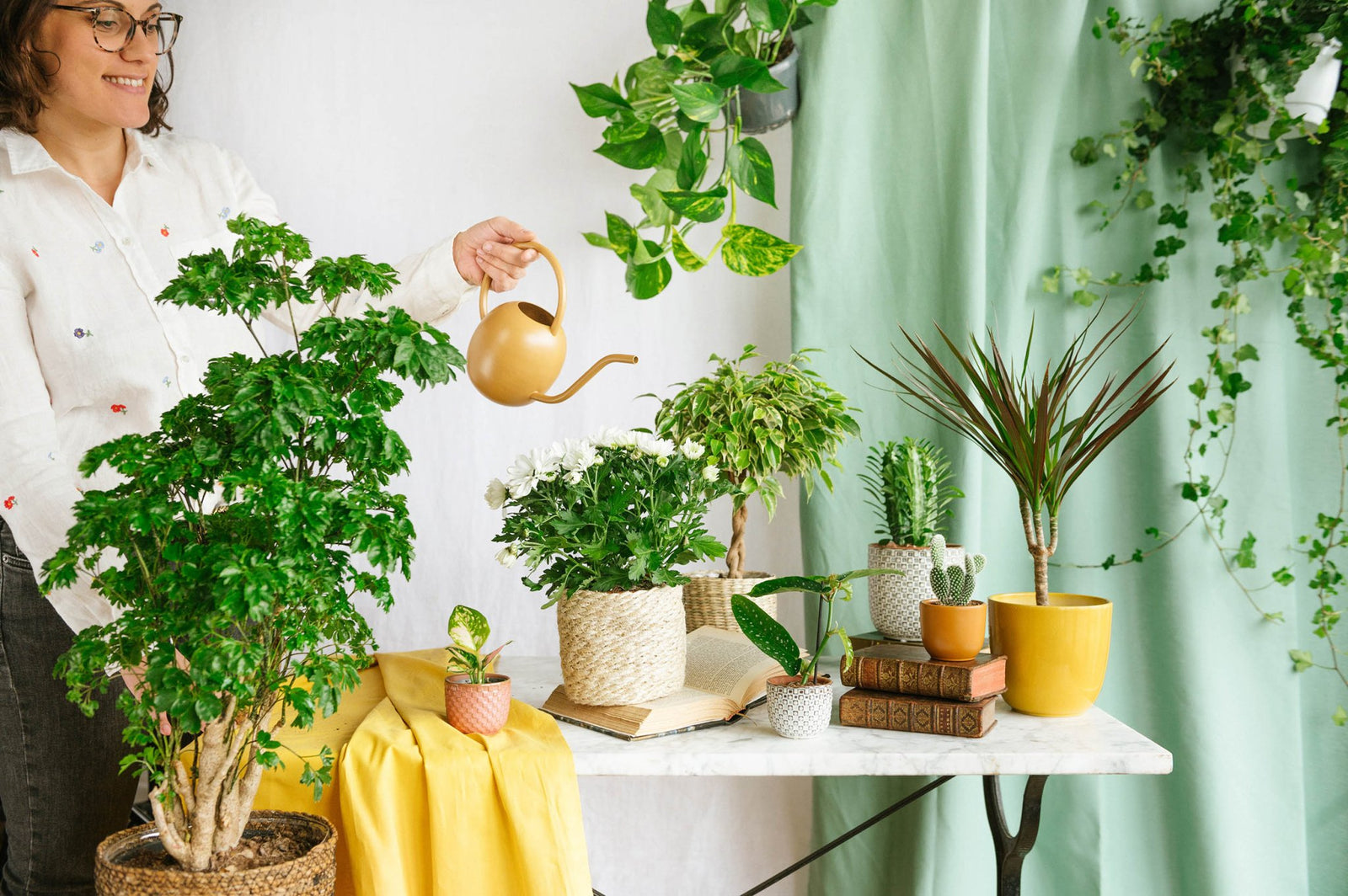 Pourquoi vos plantes reprennent vie au printemps ? - La Green Touch