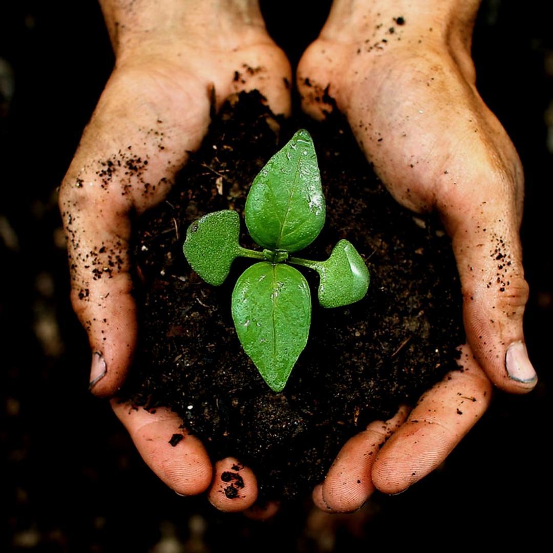 Terreau pour plante extérieur - La Green Touch