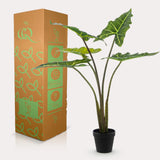 Livraison plante Alocasia artificiel - h80cm, Ø12cm