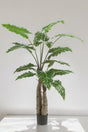 Livraison plante Alocasia plante artificielle - h150cm, Ø12cm