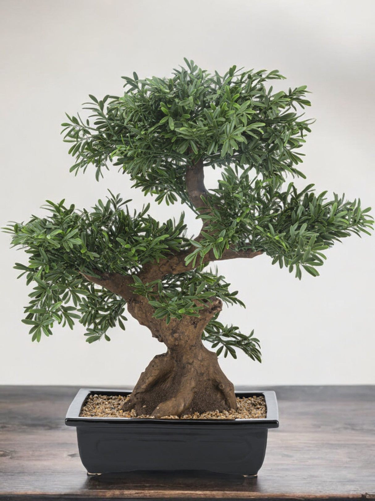 Livraison plante Bonsaï arbre - bonsai artificiel