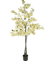 Livraison plante Bougainvillée blanc - Arbre artificiel