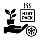 Livraison plante Chaufferette La Green Touch