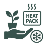 Livraison plante Chaufferette La Green Touch