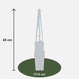 Livraison plante Clématite Jackmanii Violet Foncé