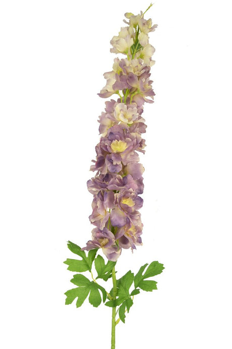 Livraison plante Delphinium Artificiel Lila