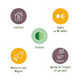 Livraison plante Dieffenbachia Camilla et pot H45 cm