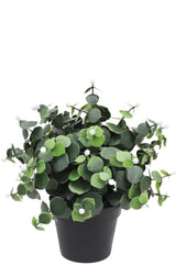 Livraison plante Eucalyptus blanc - Plante verte artificielle