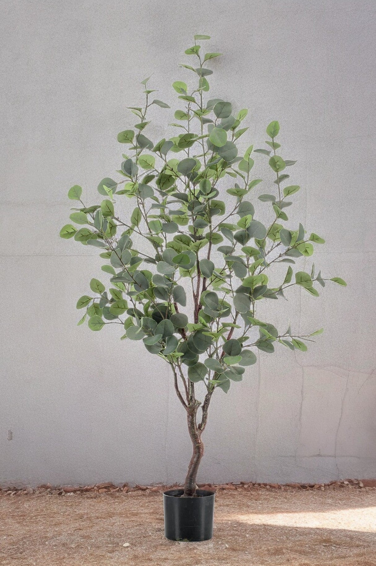 Livraison plante Eucalyptus plante artificielle - h120cm, Ø9cm