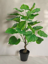 Livraison plante Ficus - grande plante artificielle