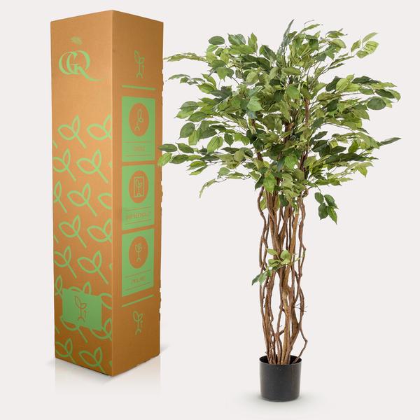 Livraison plante Ficus liane artificiel