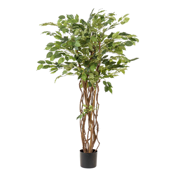Livraison plante Ficus liane artificiel