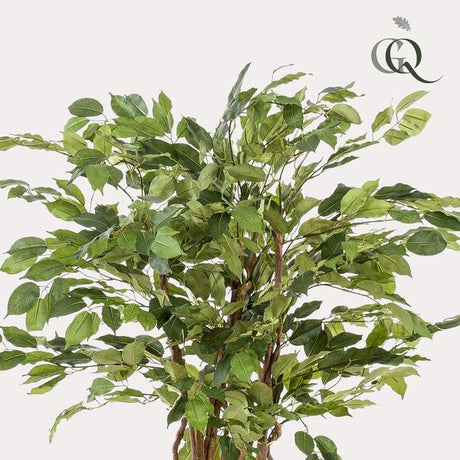 Livraison plante Ficus liane artificiel
