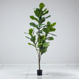 Livraison plante Ficus Lyrata artificiel