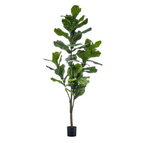 Livraison plante Ficus Lyrata artificiel
