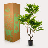 Livraison plante Figuier plante artificielle h95cm, Ø12cm