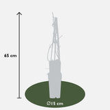 Livraison plante Hortensia grimpant - ↨65 cm - Ø15 - plante d'extérieur fleurie et grimpante