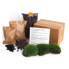 Kit de trasplante de plantas para terrario.
