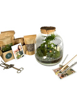 Livraison plante Kit terrarium DIY - ACAPULCO & son kit outils