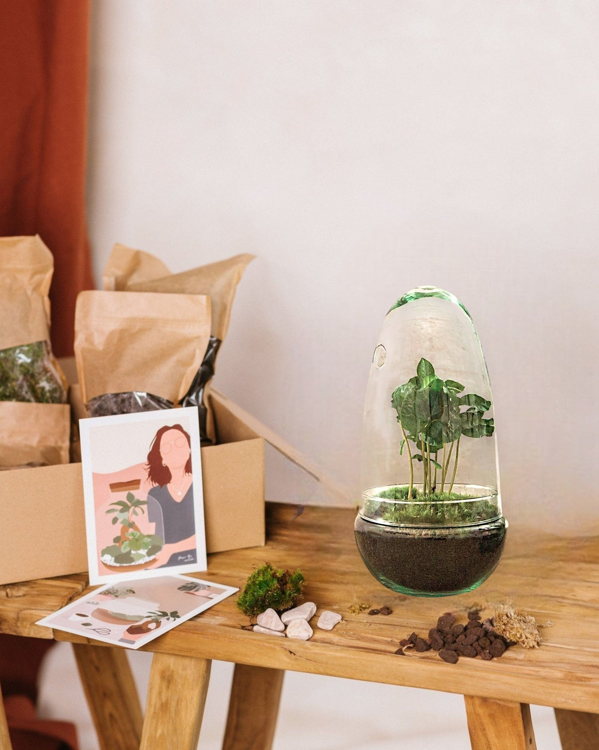 Livraison plante Kit Terrarium DIY - ALBA