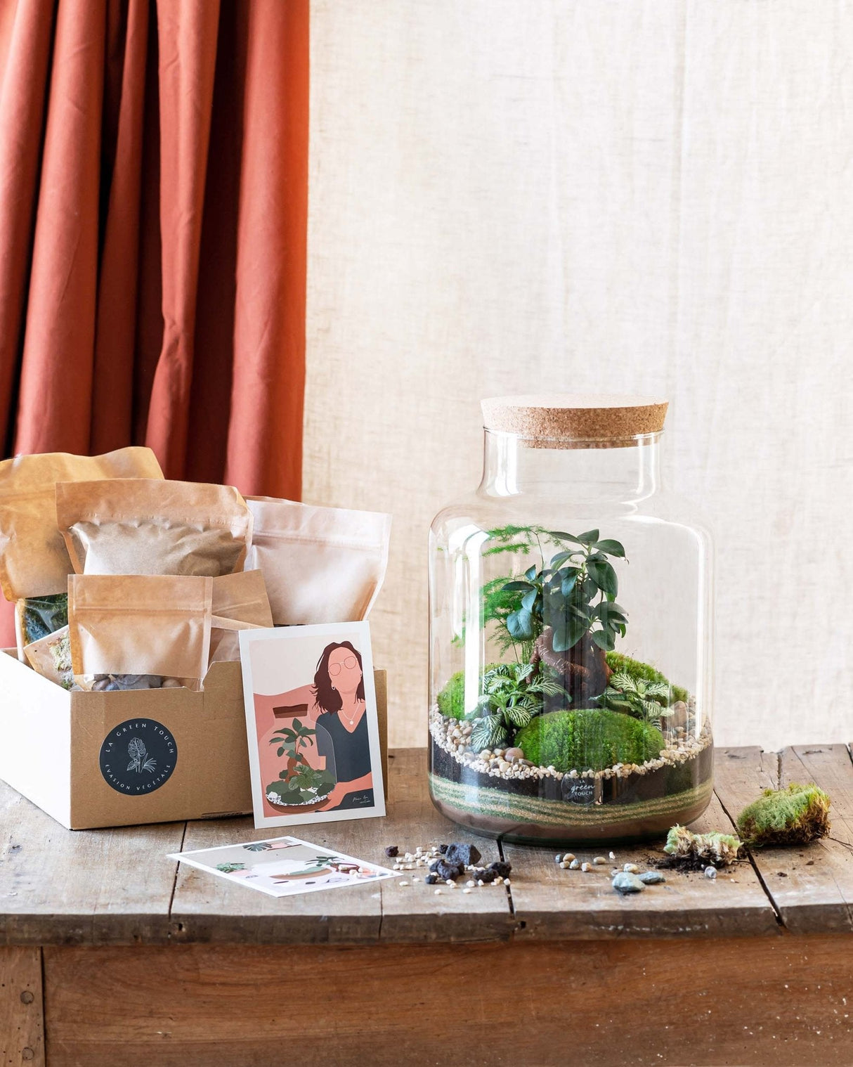 Livraison plante Kit Terrarium DIY - CORTICA