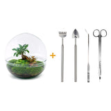 Livraison plante Kit Terrarium DIY - DOME XL