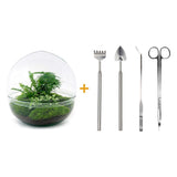 Livraison plante Kit Terrarium DIY - DOME XL