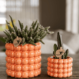 Livraison plante Kolibri Home | Poppy sierpot - Orange - Ø9cm