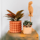 Livraison plante Kolibri Home | Poppy sierpot - Orange - Ø9cm