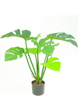 Livraison plante Monstera Deluxe - Plante verte artificielle