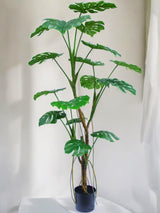 Livraison plante Monstera - grande plante artificielle