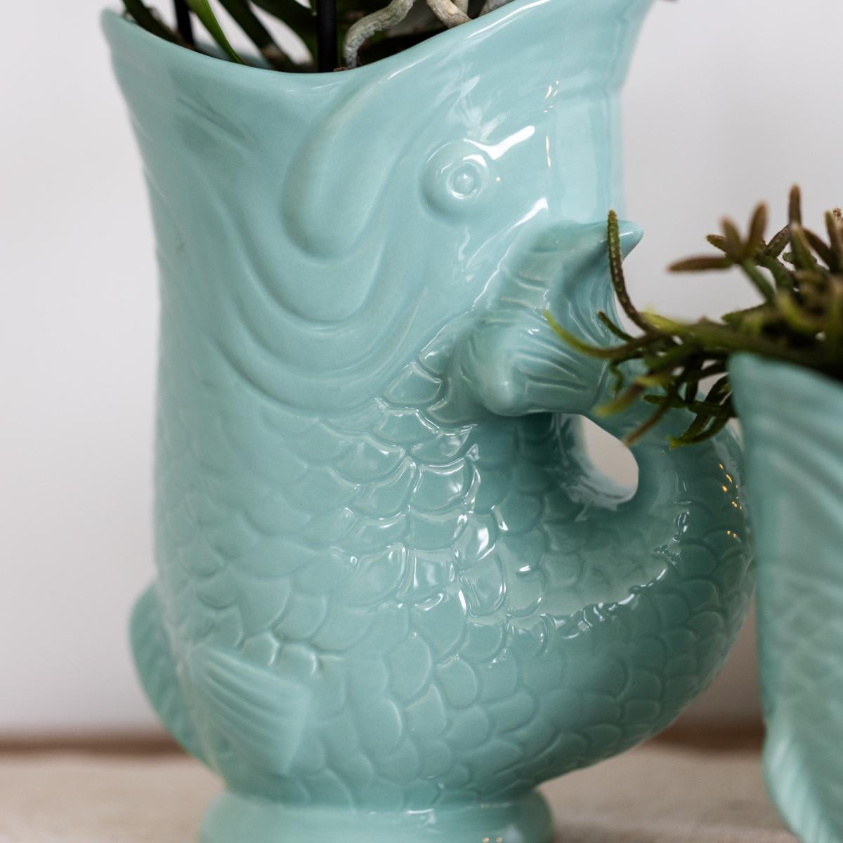 Livraison plante Orchidée Amabilis Blanche et Crassula Hobbit avec Pots Turquoise