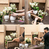 Livraison plante Orchidée Phalaenopsis Jaune et Plante Verte en Pot Vintage