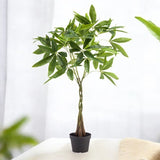 Livraison plante Pachira aquatica artificiel