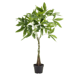 Livraison plante Pachira aquatica artificiel