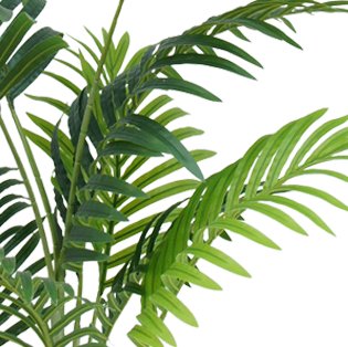 Livraison plante Phoenix - Palmier artificiel