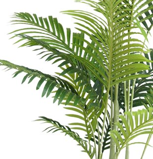 Livraison plante Phoenix - Palmier artificiel