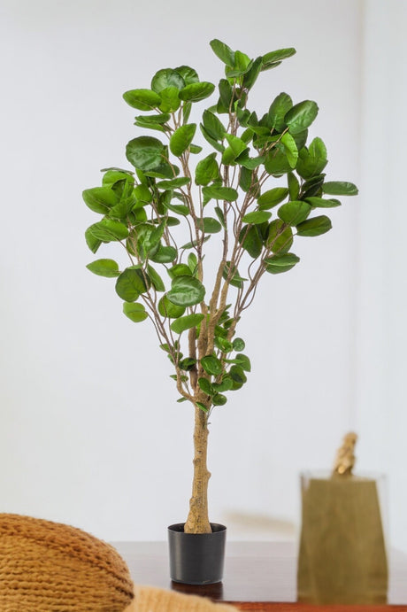 Livraison plante Polyscias Aralia plante artificielle - h150cm, Ø12cm